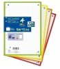 RECAMBIO ENRI OXFORD A-5 100H 6T SCHOOL CUADROS 5*5 90GR 5 COLORES VIVOS 400088483