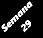 SEMANA29